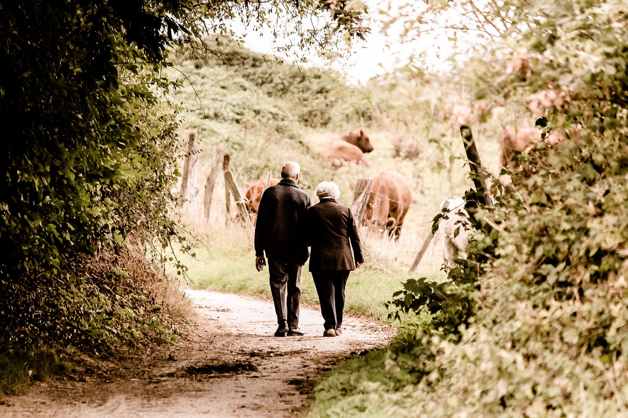 Medicare supplement insurance guidance