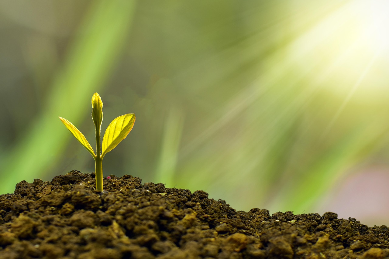 Wealth management and portfolio oversight